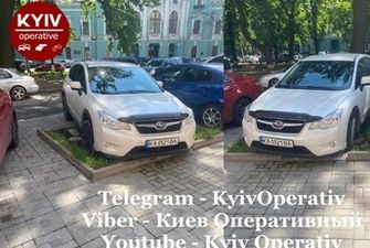 Киевский "лось на корыте": в сети показали фото сверхнаглого "героя парковки"