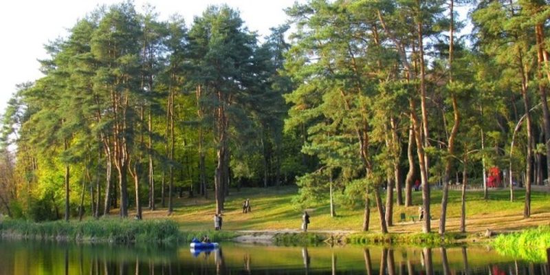 В Голосеевском районе обустроят веревочный парк