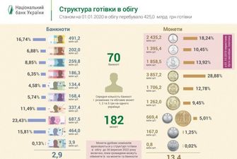 Скільки грошей має "у руках" кожен українець – у середньому: дані НБУ
