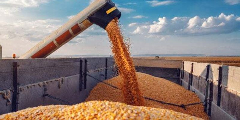 Чехія ініціює заборону імпорту зерна в ЄС із Росії та Білорусі