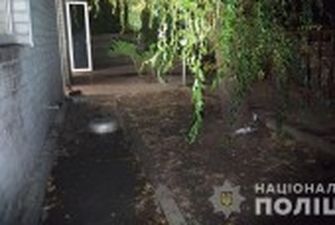 Тримали п'ять бійцівських собак: у Харкові жінку загризли у власному дворі