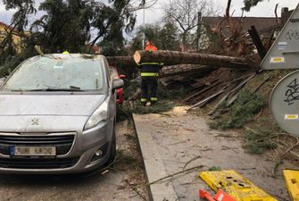 Поваленные деревья, обесточенные дома и поврежденные автомобили: в Чехии пронесся ураган