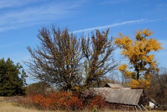 Осінь розфарбувала забутий Богом Чорнобиль у вражаючі кольори, зона відчуження лякає і заворожує: фото