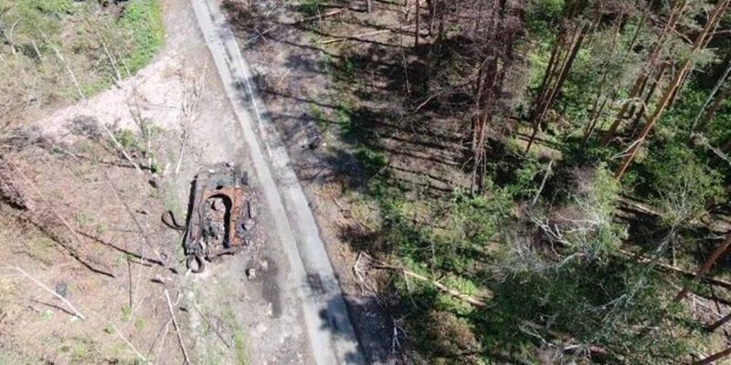 На Житомирщині окупанти обстріляли ліси, збитки довкіллю від пожеж, що виникли у результаті, склали понад 36,7 млн гривень
