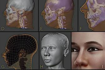 Ученые восстановили внешность фараона Тутанхамона: фото и детали исследования