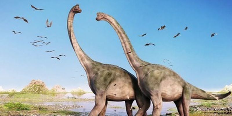 Шива "Разрушитель": ученые показали крупнейшего в истории динозавра, найденного в Аргентине
