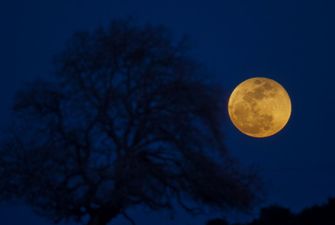 Лунное затмение 5 июня: сегодня спутник Земли приобретет необычный цвет