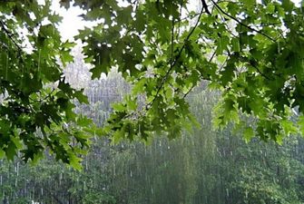 Погода на 14 сентября: по всей территории Украины ожидаются дожди