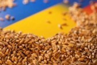 Україна експортувала вже 450 тис. тонн продовольства "зерновим коридором"