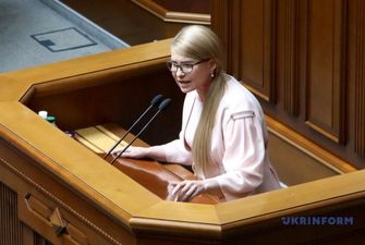 Тимошенко обвиняют в пренебрежении Конституцией из-за советов Зеленскому