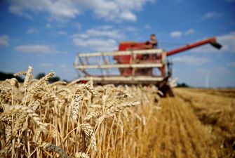 В Україні зібрано перший мільйон зерна нового врожаю