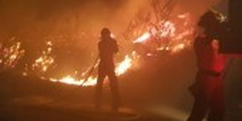 Північний схід Іспанії охопили сильні лісові пожежі