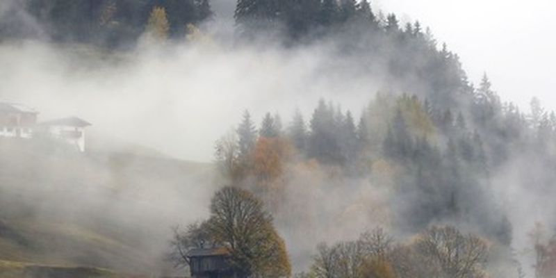 Дожди, туман и сильный ветер: синоптики уточнили прогноз на 15 ноября
