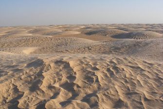Пустеля Сахара була морем, в якому жили найбільші у світі істоти