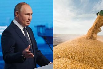"Будем настаивать": Чехия предложит запретить экспорт российского зерна в Европу