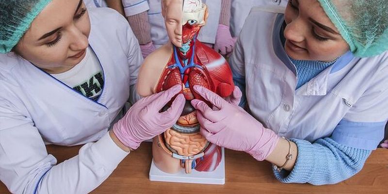 Ко Дню студента благотворители передали Константиновскому медколледжу новейшее оборудование