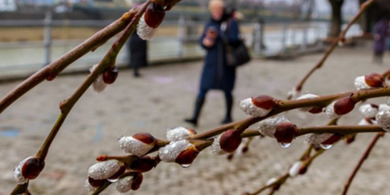 Украину накроют дожди с заморозками: синоптик рассказала, где ожидается непогода