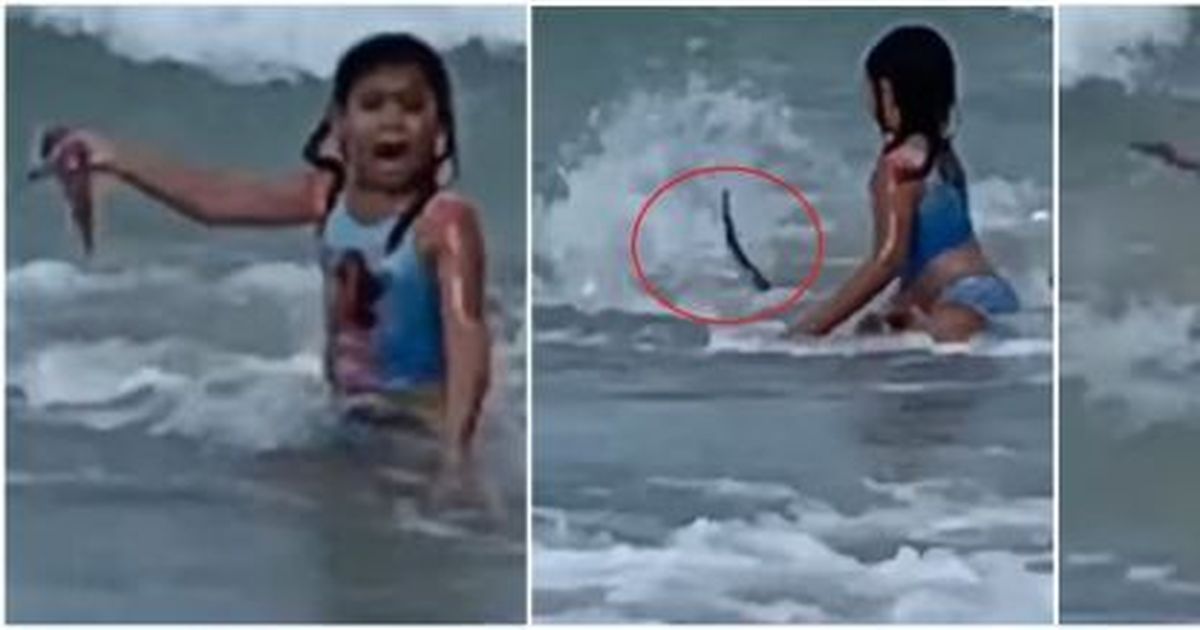 Нападение дочь. Девочка акула. Акула девушка спасается.