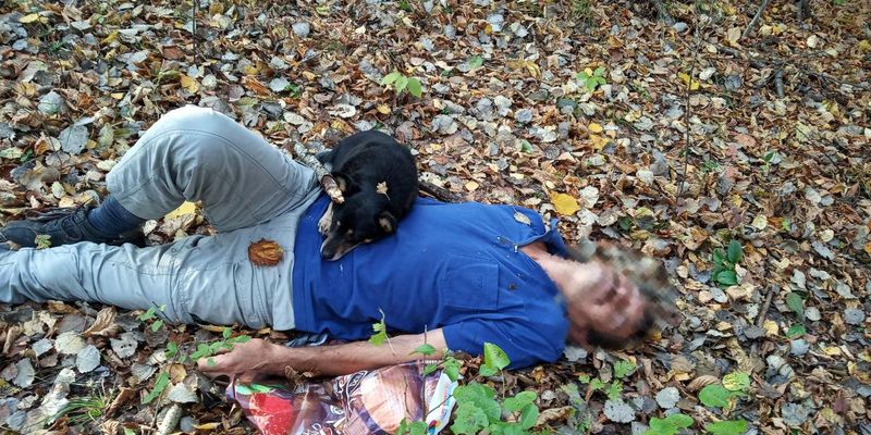 На Закарпатті пес врятував життя чоловіку