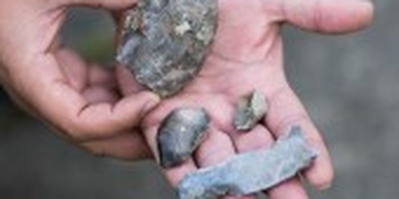 Стоянки давніх людей: на Київщині археологи виявили цікаву знахідку