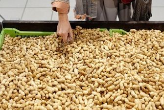 В Украину из Египта завезли ядовитый арахис: в чем опасность