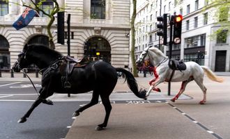 5 закривавлених коней пронеслися центром Лондона, врізаючись у все на шляху: приголомшливі кадри