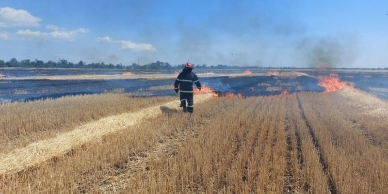 На Николаевщине в результате вражеских обстрелов сгорело более 230 гектаров хлеба