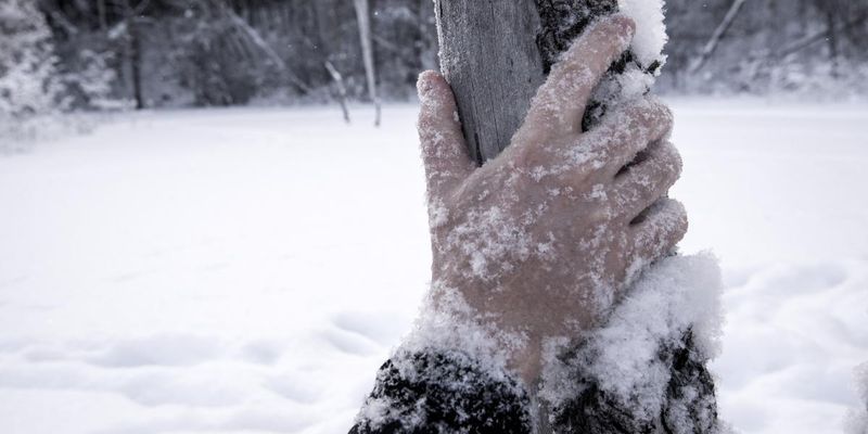 Житель Буковины замерз до смерти в собственном дворе