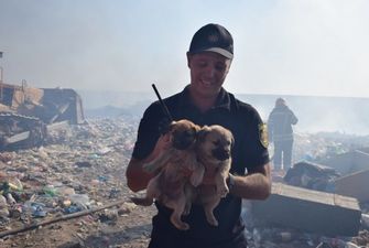 Из под колес бульдозера на свалке Николаева удалось спасти щенят