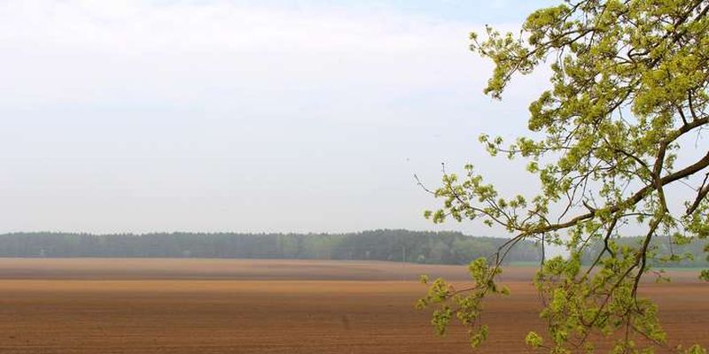 Україна на порозі неврожайного року? Запаси вологи у грунті найнижчі за останні 10 років