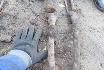 В Борисполе возле школы нашли столетние скелеты в гробах