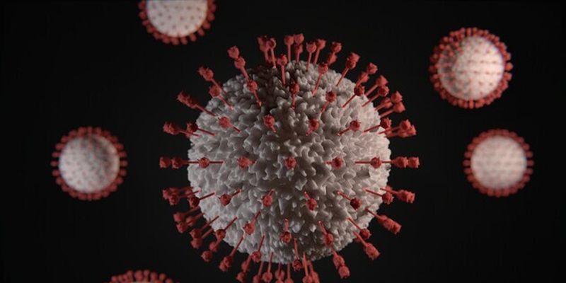 Люди передають іншим тваринам більше вірусів, ніж ми інфікуємося від них – вчені