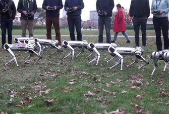 Роботов-собак выгуляли в парке
