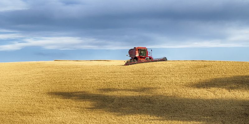 Аграріям немає сенсу укладати форвардні контракти на урожай 2020 року