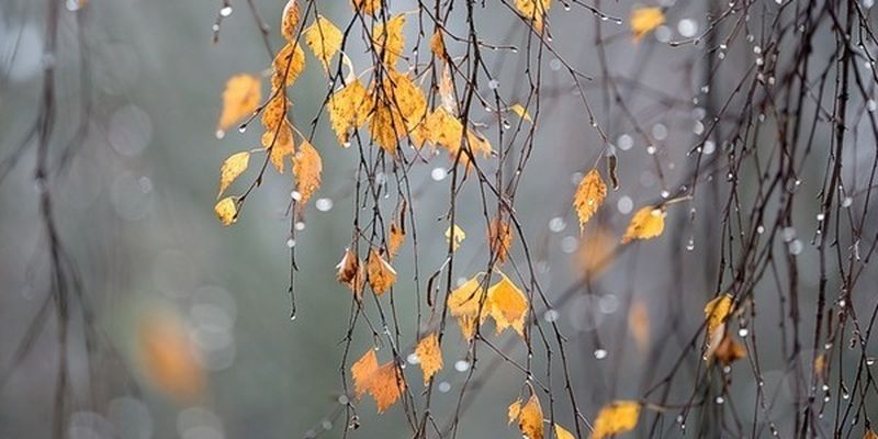 В Украину идут дожди со снегом: актуальный прогноз на выходные