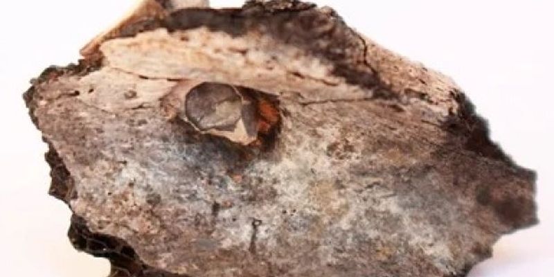 Найдены древнейшие следы намеренного сожжения людей