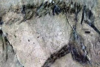 Британському мебляру приписують розгадку таємниці наскельних малюнків віком 20 тисяч років