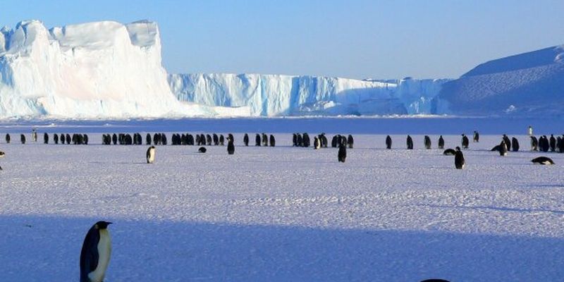 Глобальне потепління не дісталось, в Антарктиді встановлено температурний рекорд