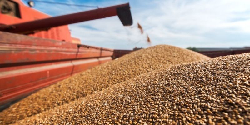 Финляндия поможет с перевозкой украинского зерна