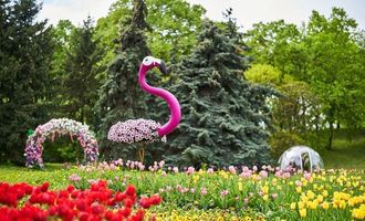 Весенний сезон начат: в парке Спивоче открылась выставка цветов