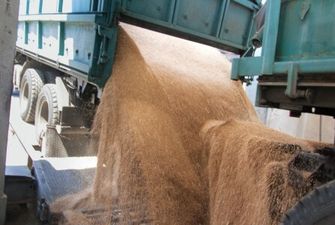 Дорога логістика та низькі ціни на зерно несуть загрозу продбезпеці - Сольський