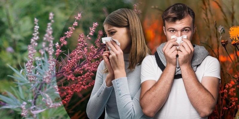 Как аллергику выжить весной?