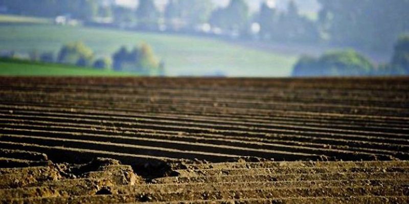 Аграрний комітет проголосував за законопроект щодо обігу ринку землі