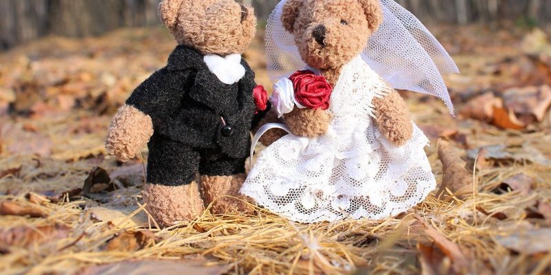 Минюст дал объяснение, кому в Украине запрещено жениться