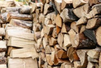 Уряд заборонив експорт дров