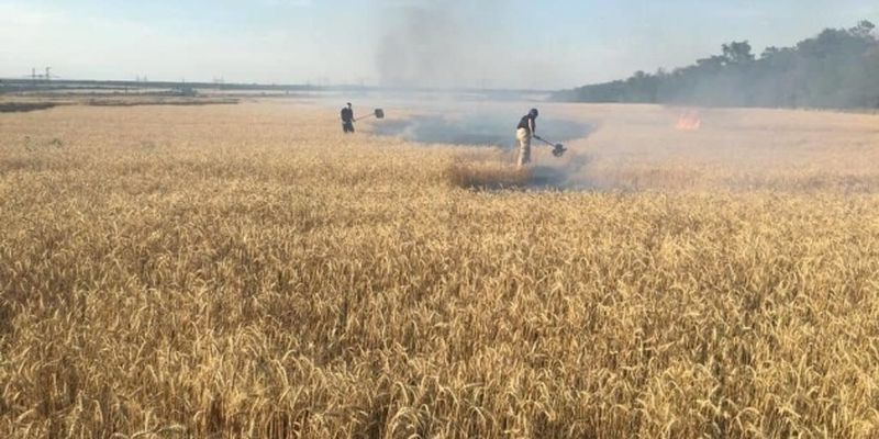 На Донетчине из-за обстрелов россиян загорелось пшеничное поле