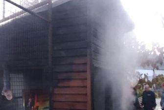 В зоопарке Луцка произошел пожар: погибли животные