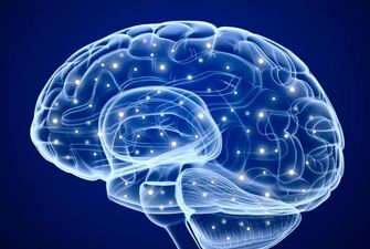Ученые сделали невероятное открытие о человеческом мозге