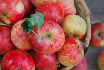 Яблоки нужно есть каждый день: неоценимая польза для здоровья