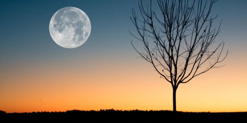 Лунный календарь на май 2024: благоприятные дни для поездок и знакомств